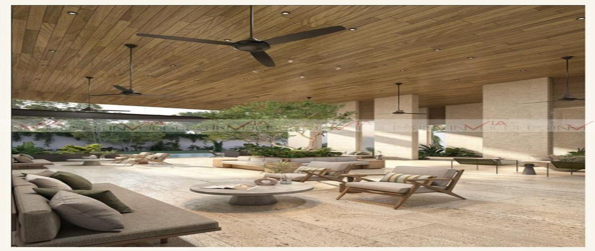 Foto de terreno habitacional en venta en santa maría yaxché , santa maría yaxché, mérida, yucatán, 27556520 No. 05