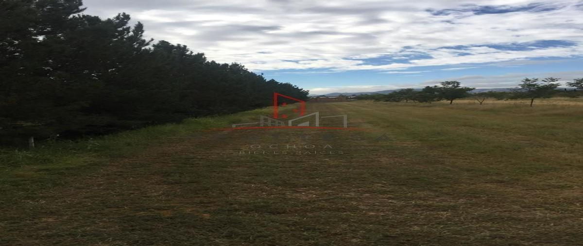 Foto de terreno habitacional en venta en  , santa monica, chihuahua, chihuahua, 27864262 No. 03