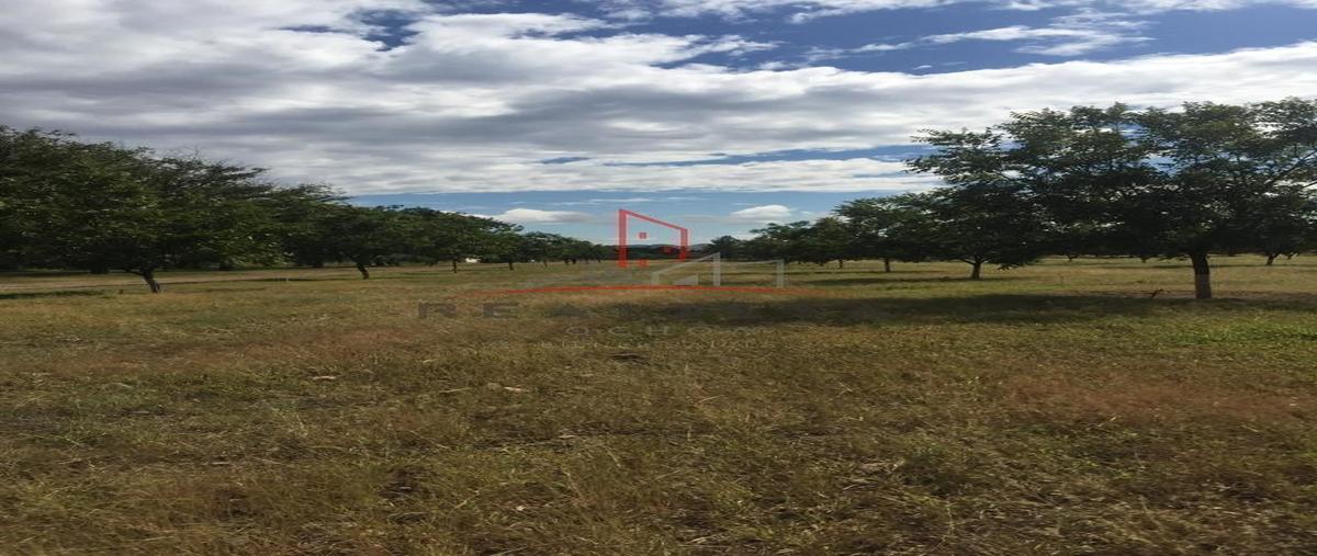 Foto de terreno habitacional en venta en  , santa monica, chihuahua, chihuahua, 27864262 No. 05