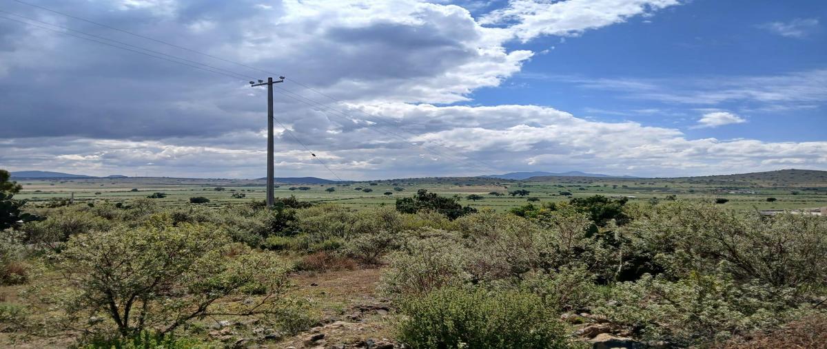 Foto de terreno habitacional en venta en  , santa mónica, epazoyucan, hidalgo, 0 No. 03