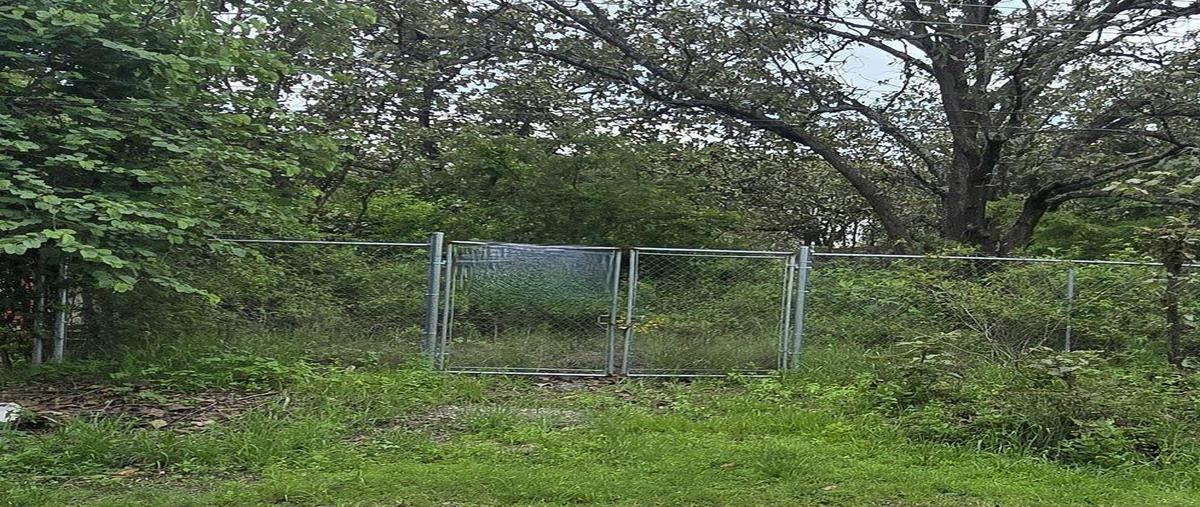 Foto de terreno habitacional en venta en  , santa quiteria, el arenal, jalisco, 0 No. 05