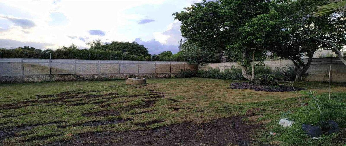 Foto de terreno habitacional en venta en  , santa rita cholul, mérida, yucatán, 0 No. 03