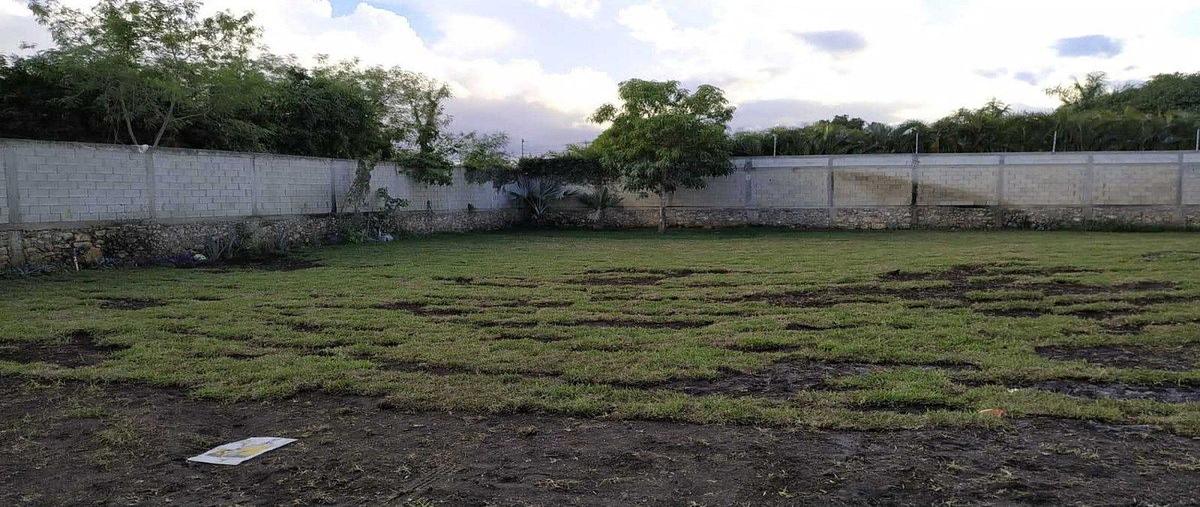Foto de terreno habitacional en venta en  , santa rita cholul, mérida, yucatán, 0 No. 04