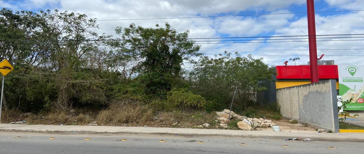 Foto de terreno habitacional en santa rita cholul whi274701, santa rita cholul, mérida, yucatán, 23722618 foto 03 Foto de terreno habitacional en renta en santa rita cholul whi274701, santa rita cholul, mérida, yucatán, 23722618 No. 03
