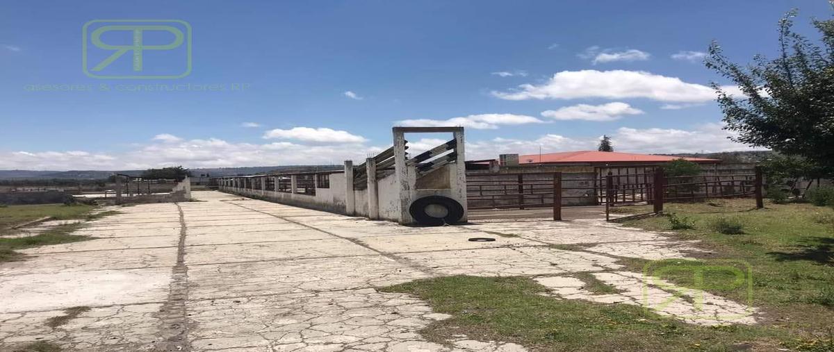 Foto de terreno habitacional en venta en  , santa rita, cuautepec de hinojosa, hidalgo, 29820343 No. 03
