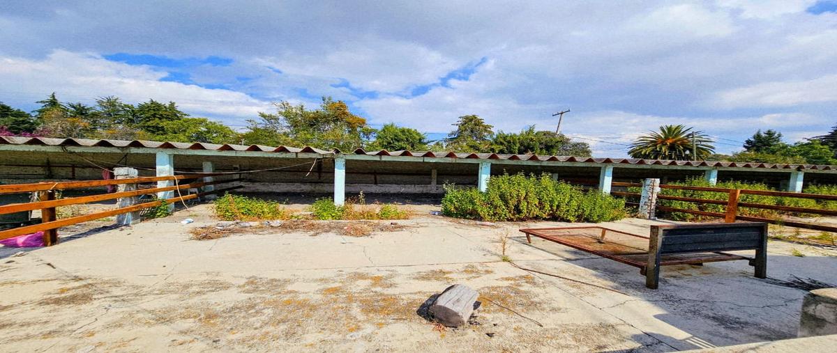 Foto de terreno habitacional en renta en  , santa rita tlahuapan, tlahuapan, puebla, 0 No. 03