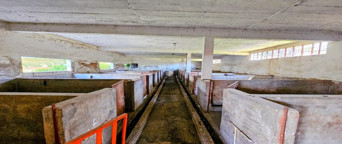 Foto de terreno habitacional en renta en  , santa rita tlahuapan, tlahuapan, puebla, 0 No. 04