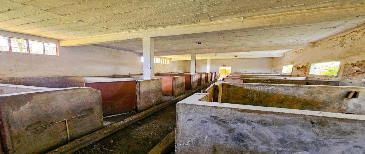 Foto de terreno habitacional en renta en  , santa rita tlahuapan, tlahuapan, puebla, 0 No. 05