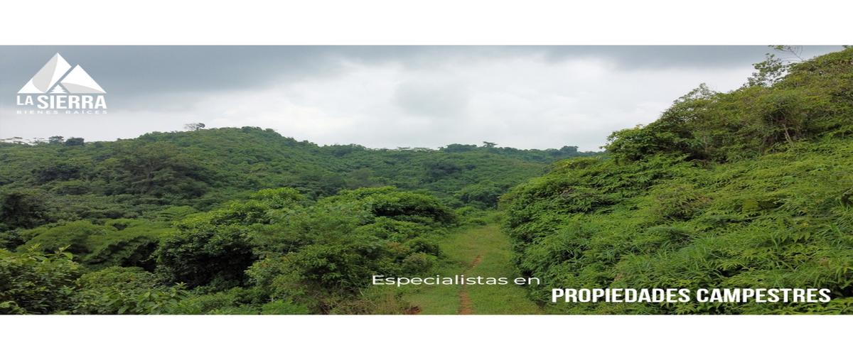 Foto de terreno habitacional en , santa rita, xicotepec, puebla, 0 foto 01 Foto de terreno habitacional en venta en , santa rita, xicotepec, puebla, 0 No. 01