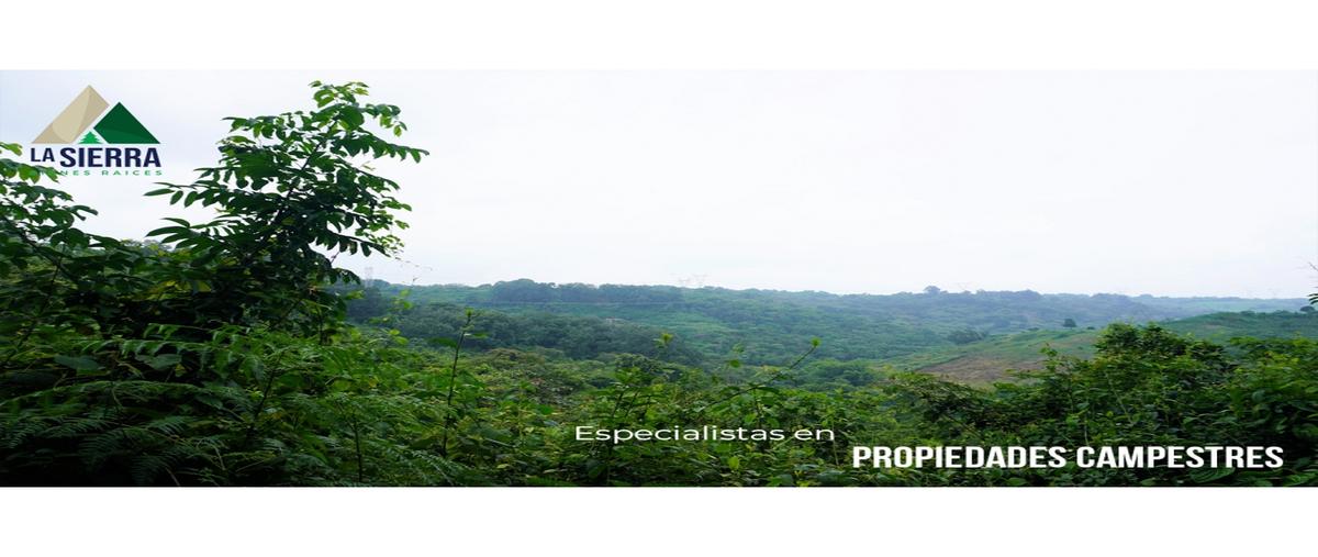 Foto de terreno habitacional en , santa rita, xicotepec, puebla, 0 foto 02 Foto de terreno habitacional en venta en , santa rita, xicotepec, puebla, 0 No. 02