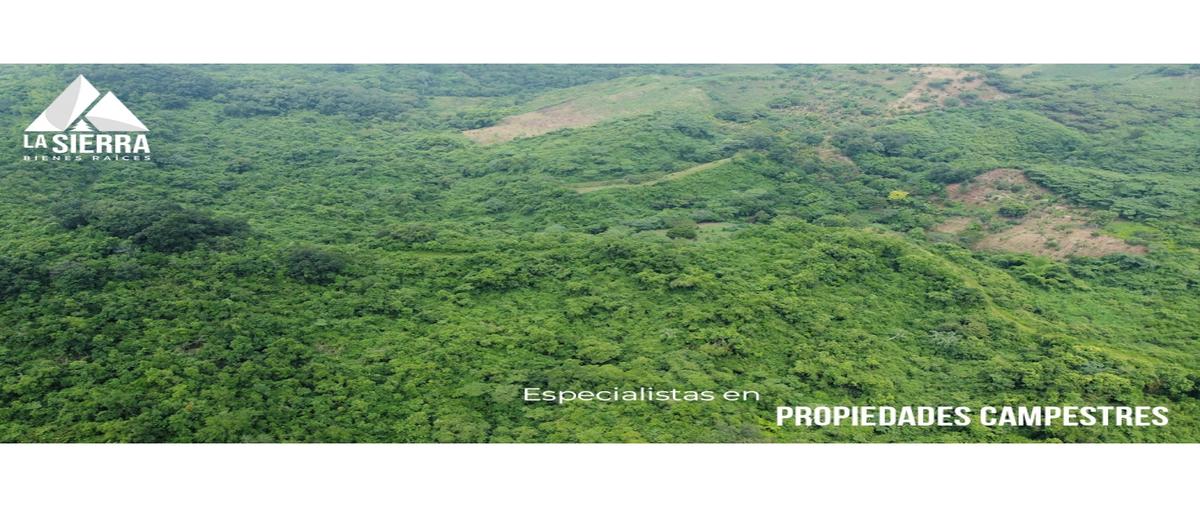 Foto de terreno habitacional en , santa rita, xicotepec, puebla, 0 foto 03 Foto de terreno habitacional en venta en , santa rita, xicotepec, puebla, 0 No. 03