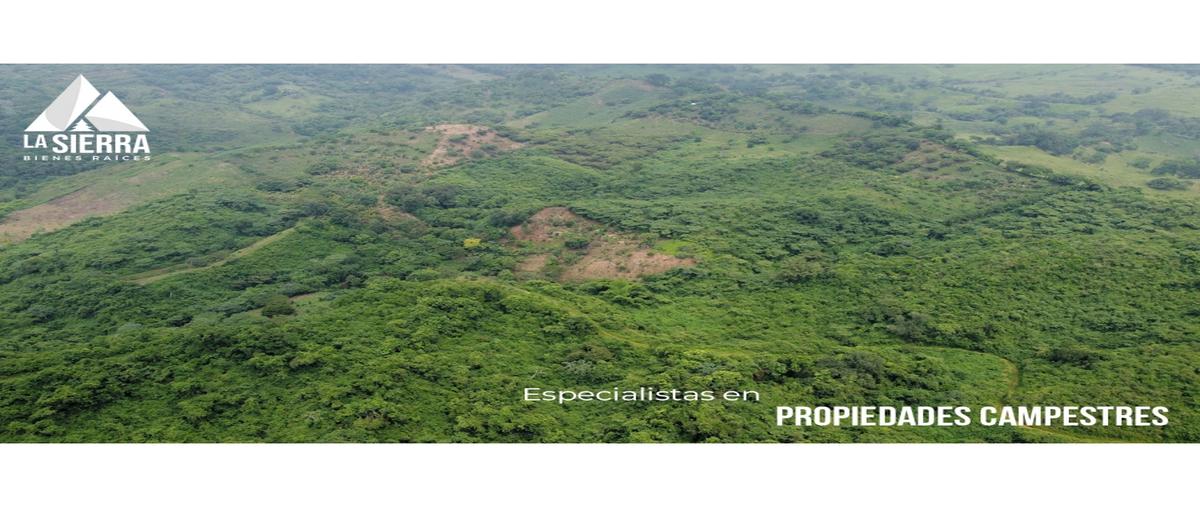 Foto de terreno habitacional en , santa rita, xicotepec, puebla, 0 foto 04 Foto de terreno habitacional en venta en , santa rita, xicotepec, puebla, 0 No. 04