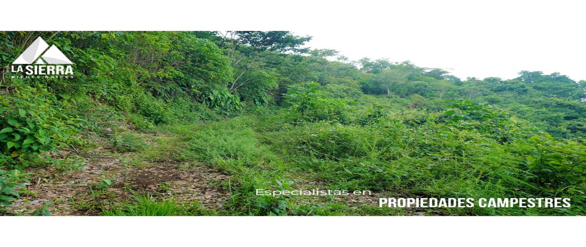 Foto de terreno habitacional en , santa rita, xicotepec, puebla, 0 foto 05 Foto de terreno habitacional en venta en , santa rita, xicotepec, puebla, 0 No. 05
