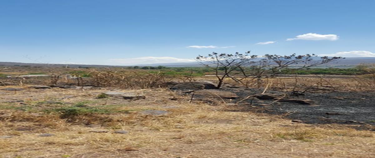 Foto de terreno habitacional en venta en santa rosa 3, colinas de cajititlán, tlajomulco de zúñiga, jalisco, 25251916 No. 03