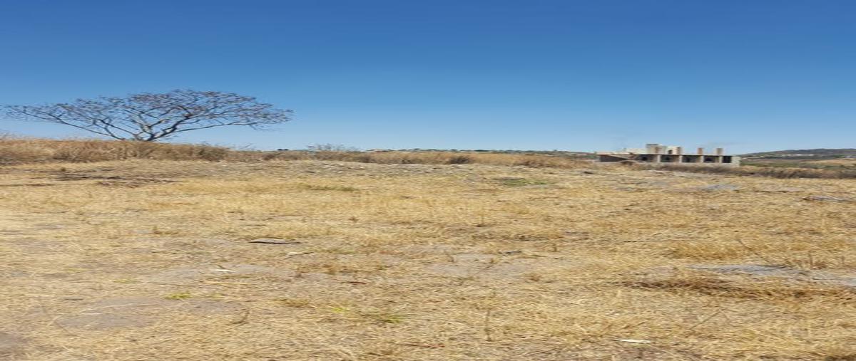 Foto de terreno habitacional en venta en santa rosa 3, colinas de cajititlán, tlajomulco de zúñiga, jalisco, 25251916 No. 05