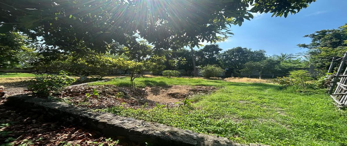 Foto de terreno habitacional en venta en  , santa rosa 30 centro, tlaltizapán de zapata, morelos, 0 No. 03