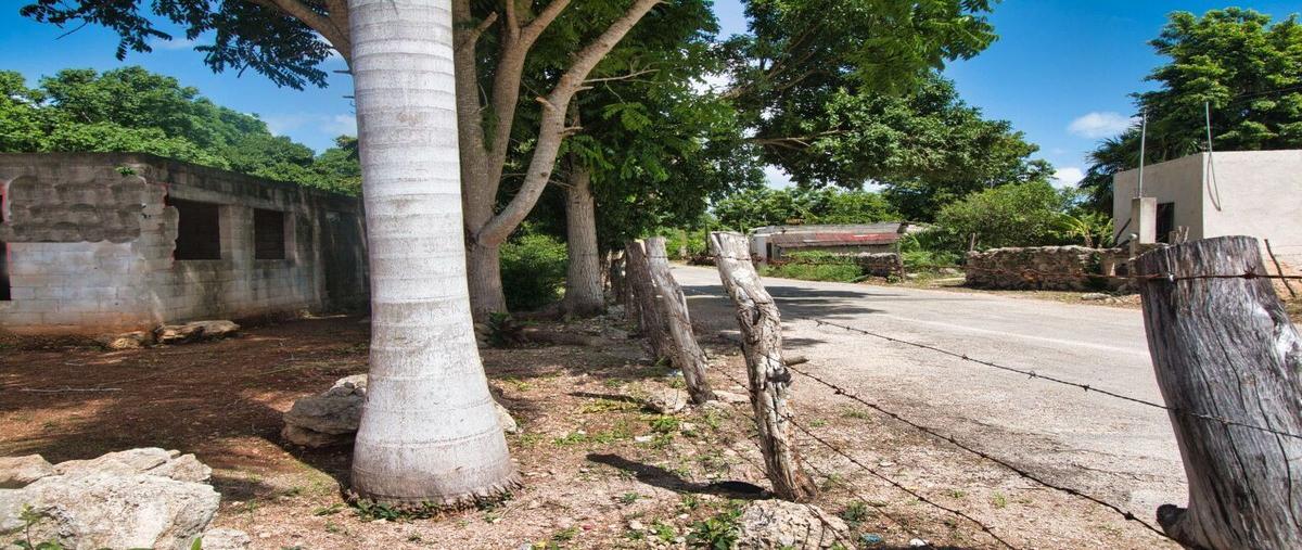 Foto de casa en , santa rosa concepción, tizimín, yucatán, 22610429 foto 03 Foto de casa en venta en , santa rosa concepción, tizimín, yucatán, 22610429 No. 03