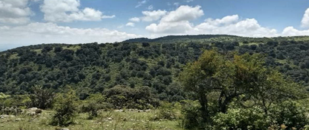 Foto de terreno habitacional en venta en  , santa rosa de jauregui, querétaro, querétaro, 24193121 No. 04