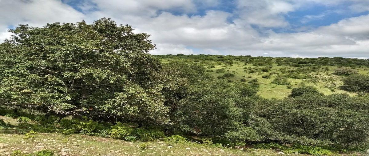 Foto de terreno habitacional en venta en  , santa rosa de jauregui, querétaro, querétaro, 31133237 No. 04