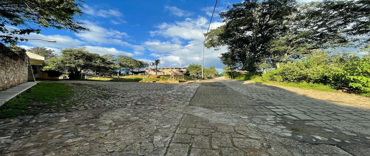 Foto de terreno habitacional en venta en  , santa rosa de lima, guanajuato, guanajuato, 10961037 No. 03