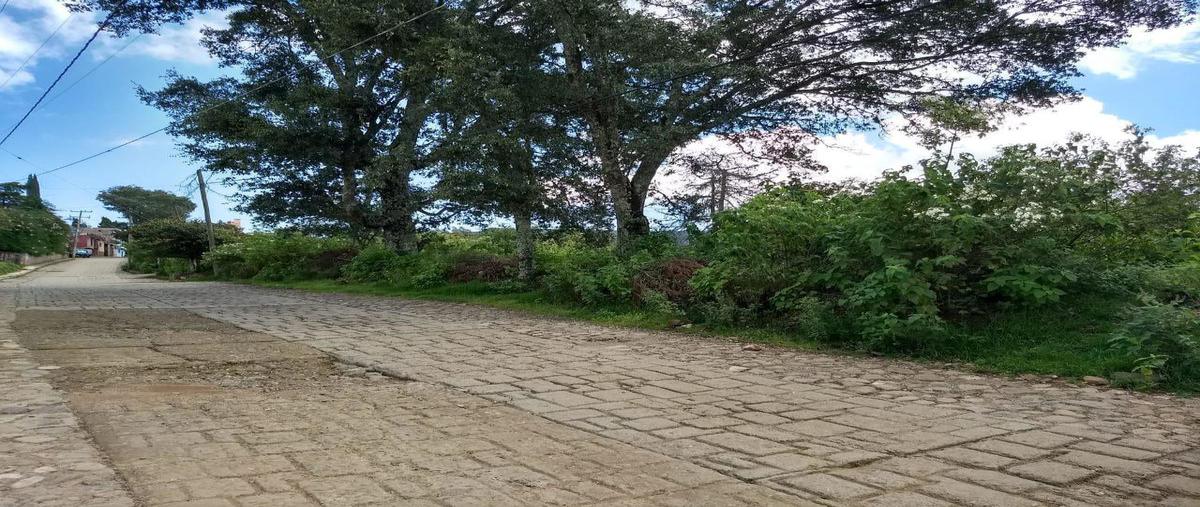 Foto de terreno habitacional en venta en  , santa rosa de lima, guanajuato, guanajuato, 10961037 No. 04