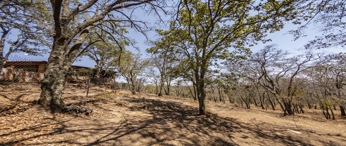 Foto de terreno habitacional en venta en  , santa rosa de lima, guanajuato, guanajuato, 0 No. 03