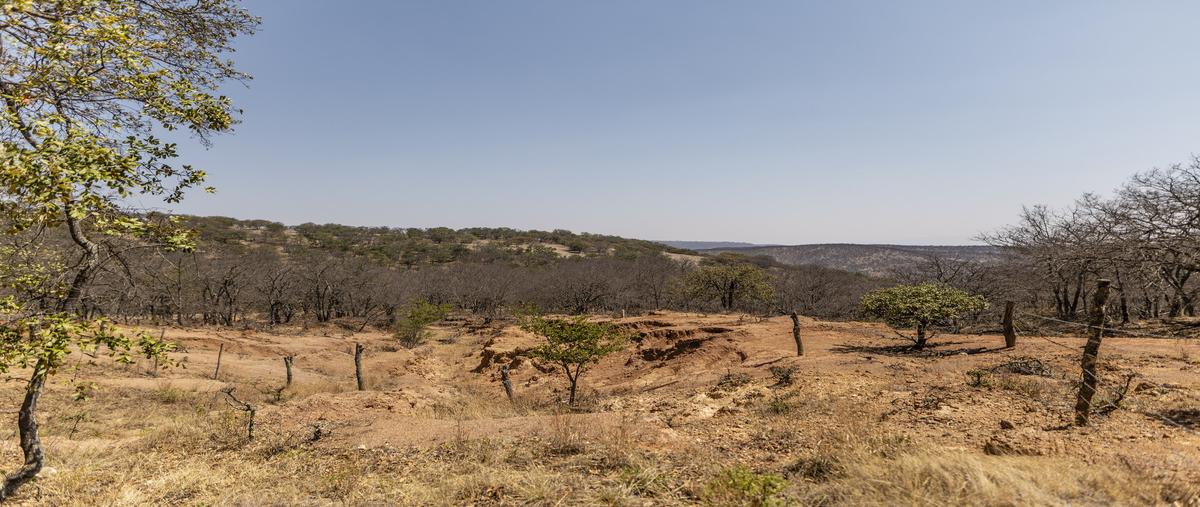 Foto de terreno habitacional en venta en  , santa rosa de lima, guanajuato, guanajuato, 0 No. 04