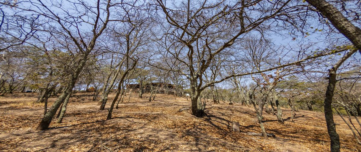 Foto de terreno habitacional en venta en  , santa rosa de lima, guanajuato, guanajuato, 0 No. 05