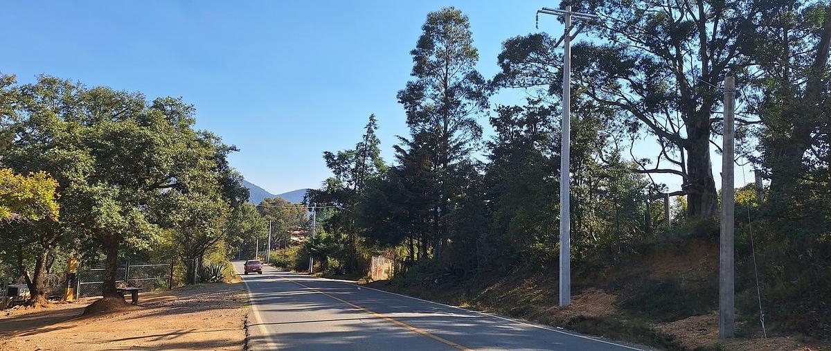 Foto de terreno habitacional en venta en  , santa rosa de lima, guanajuato, guanajuato, 30787011 No. 03