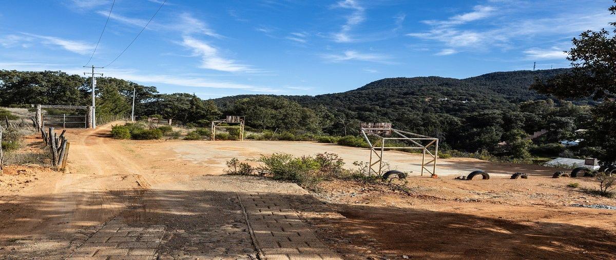 Foto de terreno habitacional en venta en  , santa rosa de lima, guanajuato, guanajuato, 30787011 No. 05