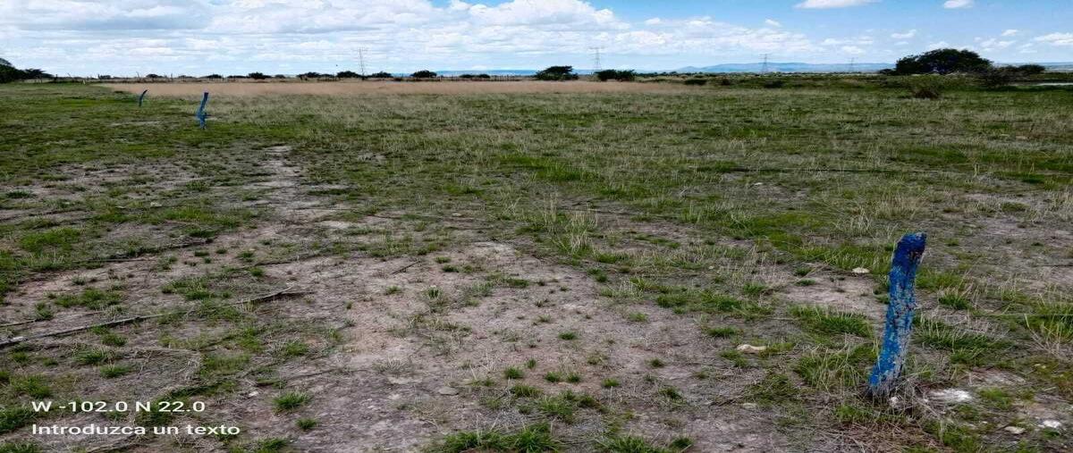Foto de terreno habitacional en venta en  , santa rosa (el huizache), el llano, aguascalientes, 0 No. 03