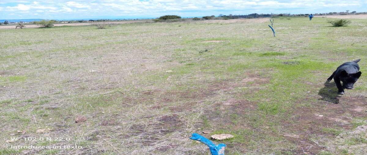 Foto de terreno habitacional en venta en  , santa rosa (el huizache), el llano, aguascalientes, 0 No. 05