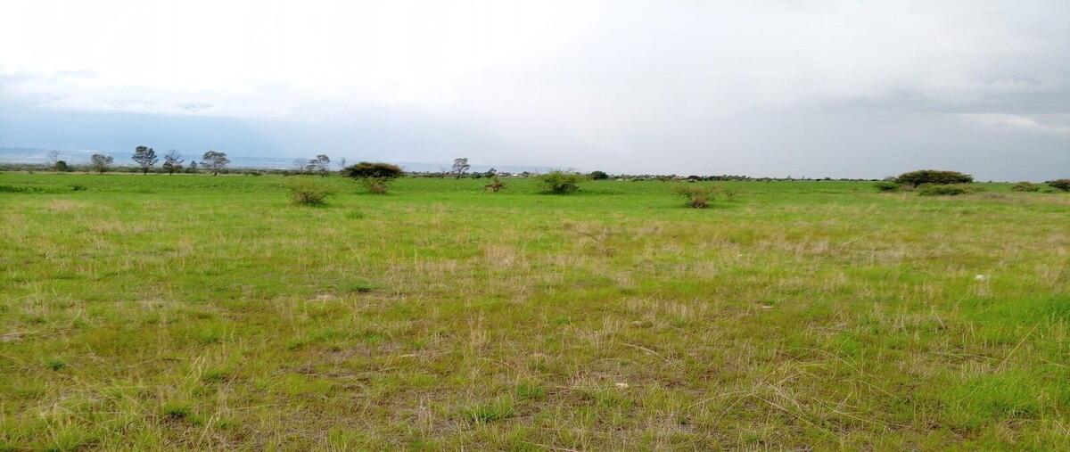 Foto de terreno habitacional en venta en  , santa rosa (el huizache), el llano, aguascalientes, 0 No. 03