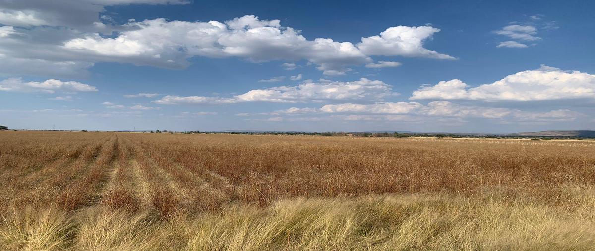 Foto de terreno habitacional en venta en  , santa rosa, el llano, aguascalientes, 0 No. 03