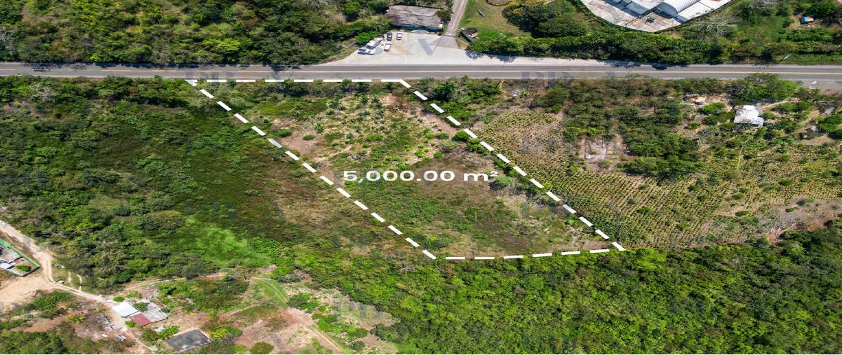 Foto de terreno habitacional en venta en  , santa rosa, gutiérrez zamora, veracruz de ignacio de la llave, 0 No. 03