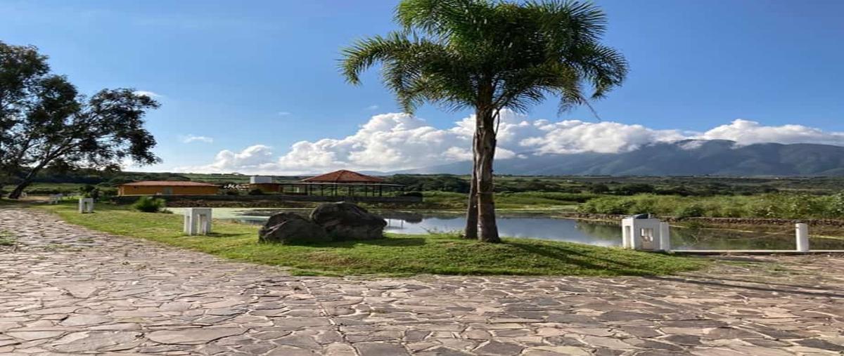 Foto de terreno habitacional en venta en  , santa rosa, ixtlahuacán de los membrillos, jalisco, 26556655 No. 04