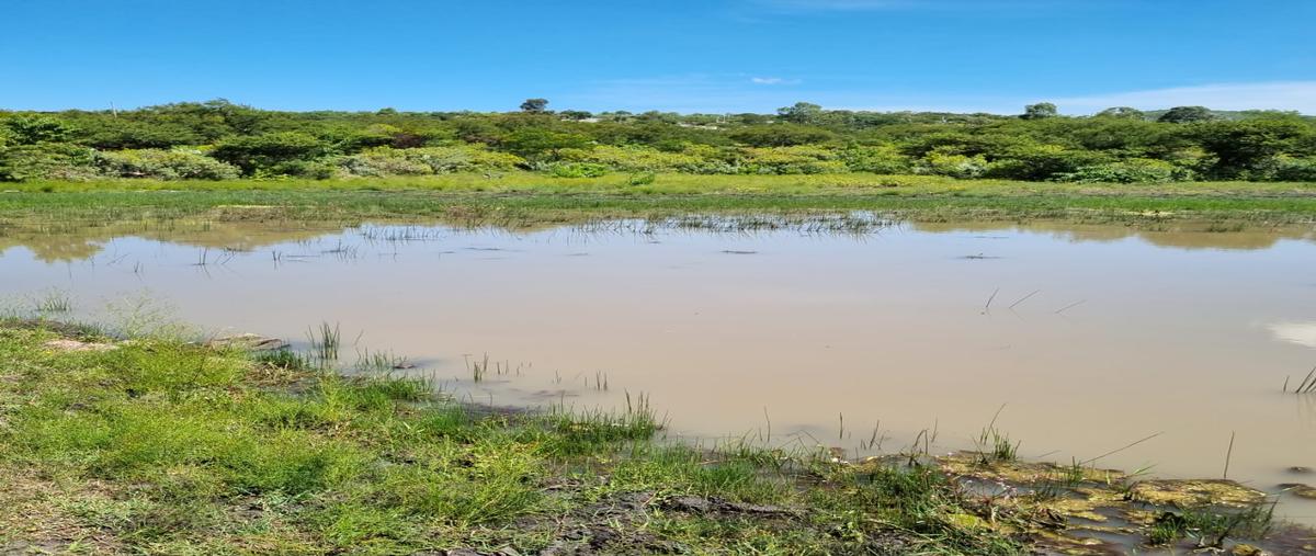 Foto de rancho en venta en santa rosa jauregui la palmita , la palmita, san miguel de allende, guanajuato, 28176290 No. 05