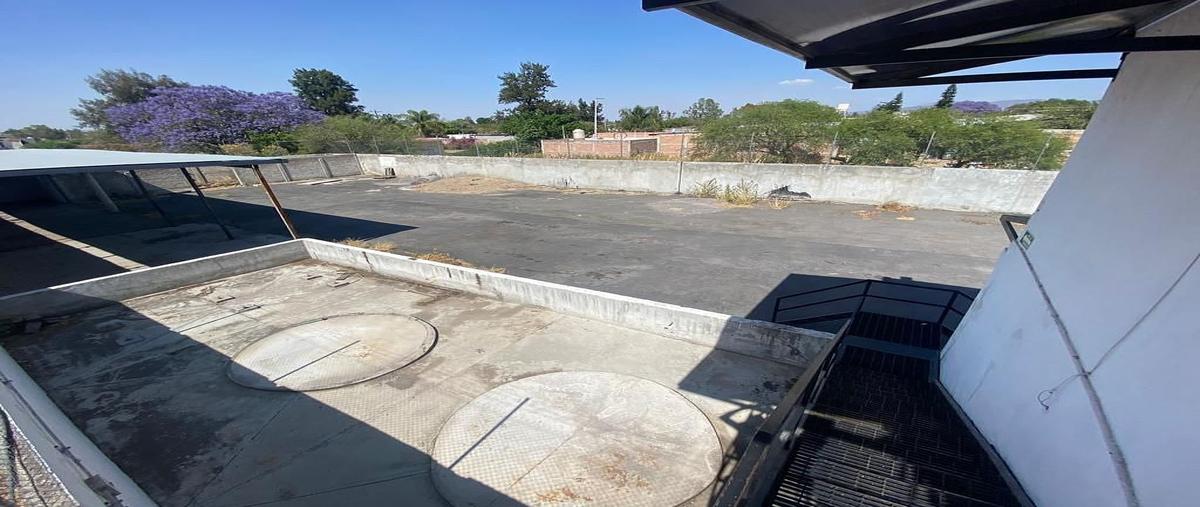 Foto de terreno industrial en venta en  , santa rosa (la hacienda de santa rosa), ixtlahuacán de los membrillos, jalisco, 31075331 No. 05