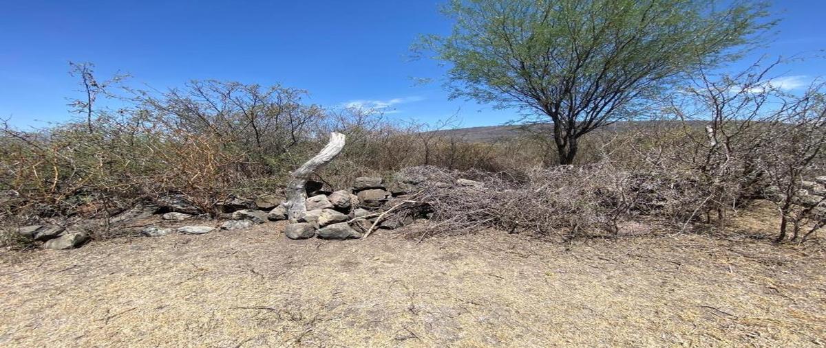 Foto de terreno habitacional en venta en santa rosa macrolibramiento na, santa rosa (la hacienda de santa rosa), ixtlahuacán de los membrillos, jalisco, 0 No. 04
