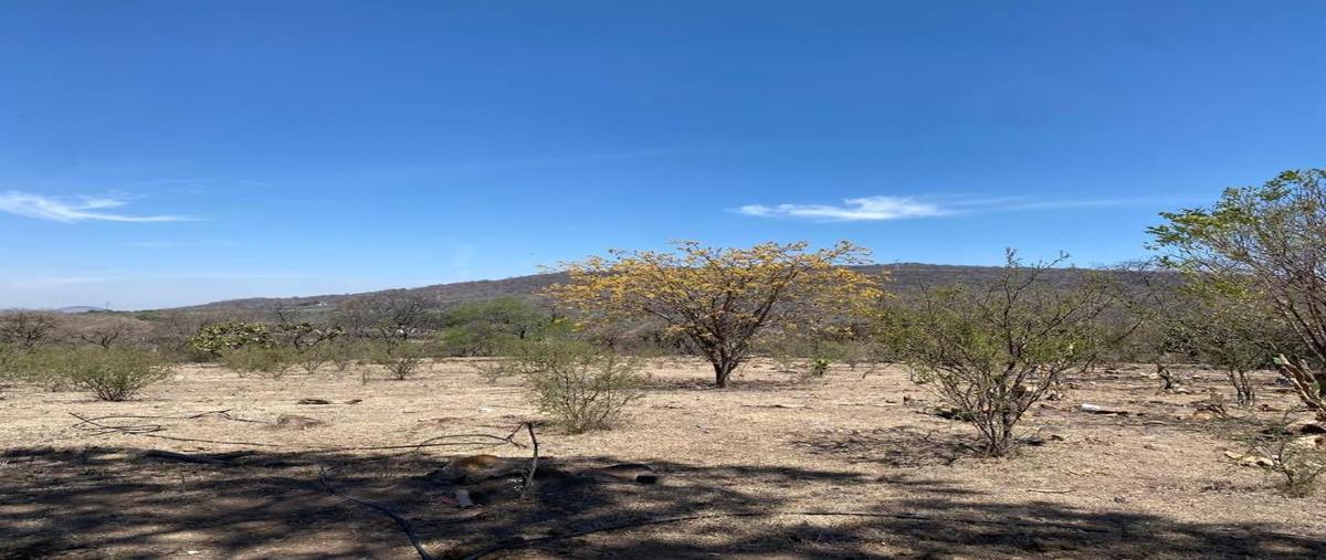 Foto de terreno habitacional en venta en santa rosa macrolibramiento na, santa rosa (la hacienda de santa rosa), ixtlahuacán de los membrillos, jalisco, 0 No. 05