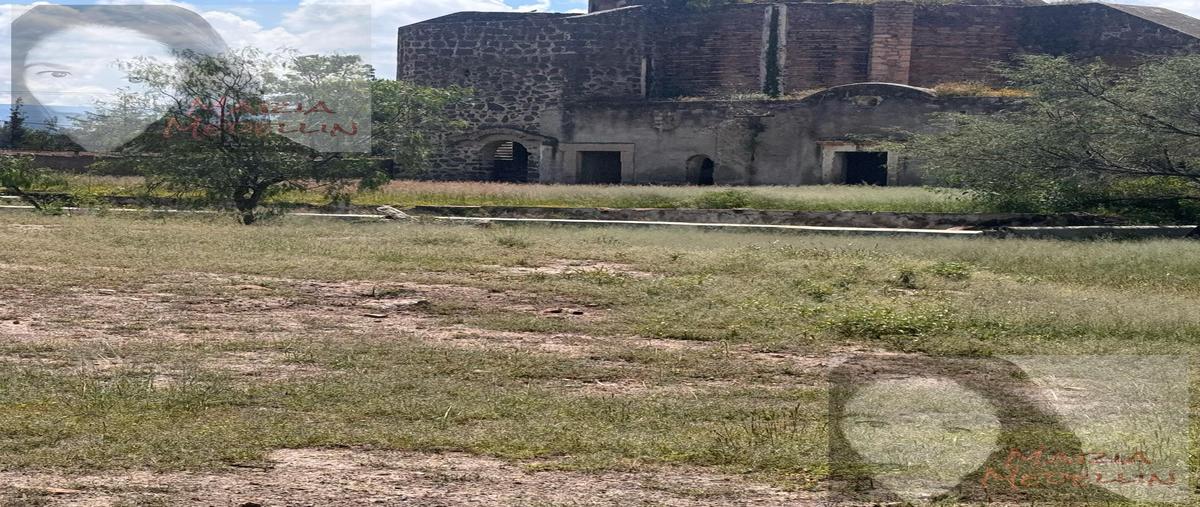 Foto de rancho en , santa rosa, san felipe, guanajuato, 29140640 foto 03 Foto de rancho en venta en , santa rosa, san felipe, guanajuato, 29140640 No. 03