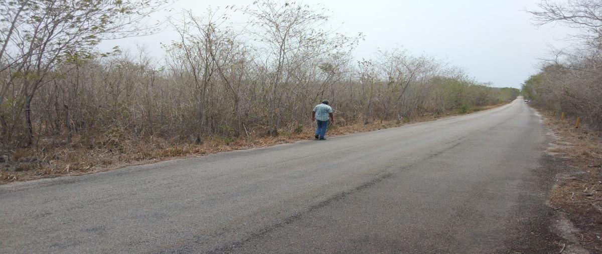 Foto de terreno habitacional en venta en  , santa rosa, tunkás, yucatán, 28132990 No. 03