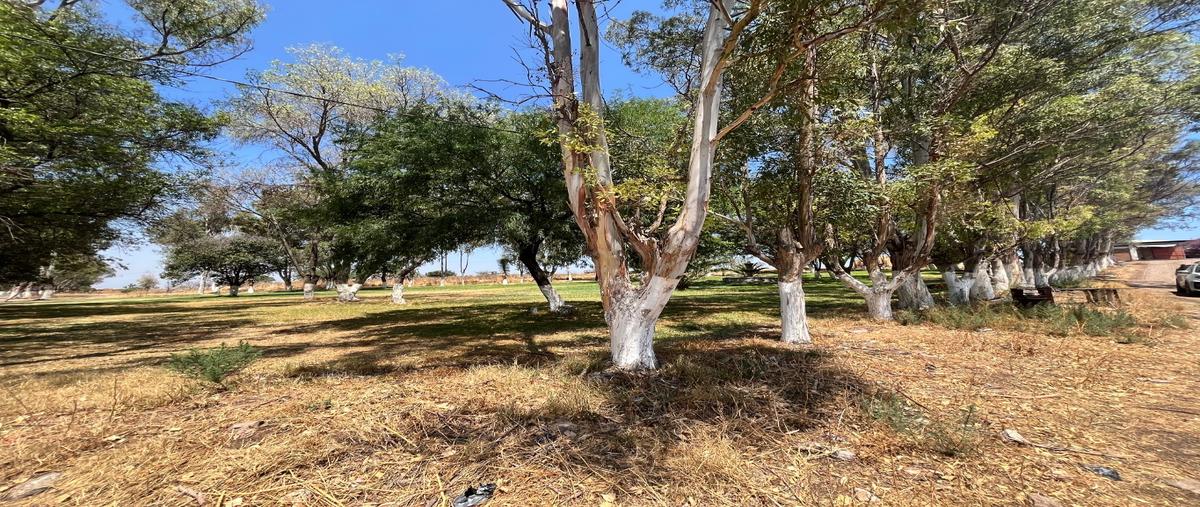 Foto de terreno habitacional en venta en  , santa rosa xajay, san juan del río, querétaro, 0 No. 03
