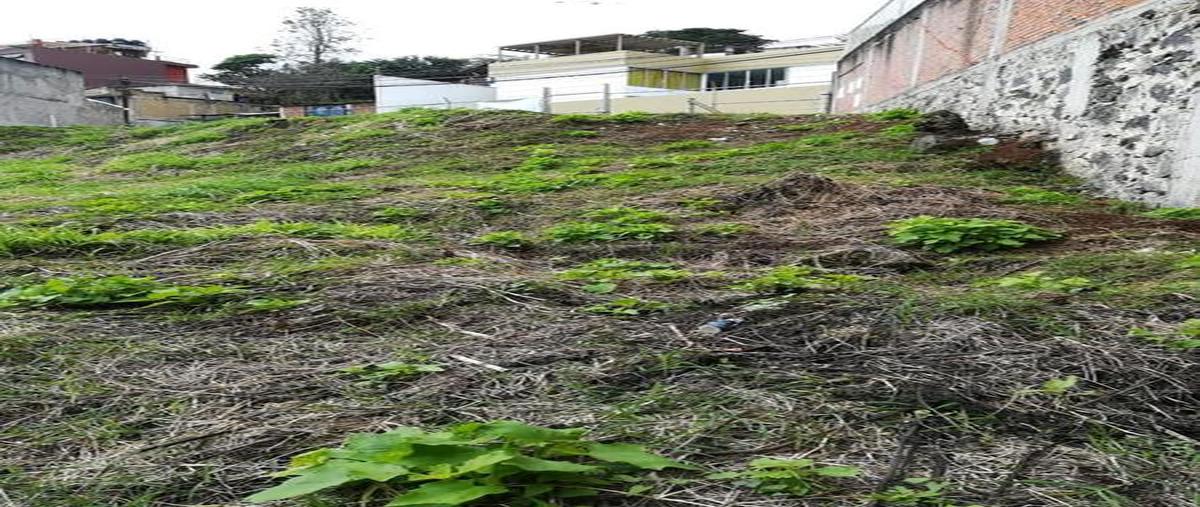 Foto de terreno habitacional en venta en  , santa rosa, xalapa, veracruz de ignacio de la llave, 6697459 No. 02