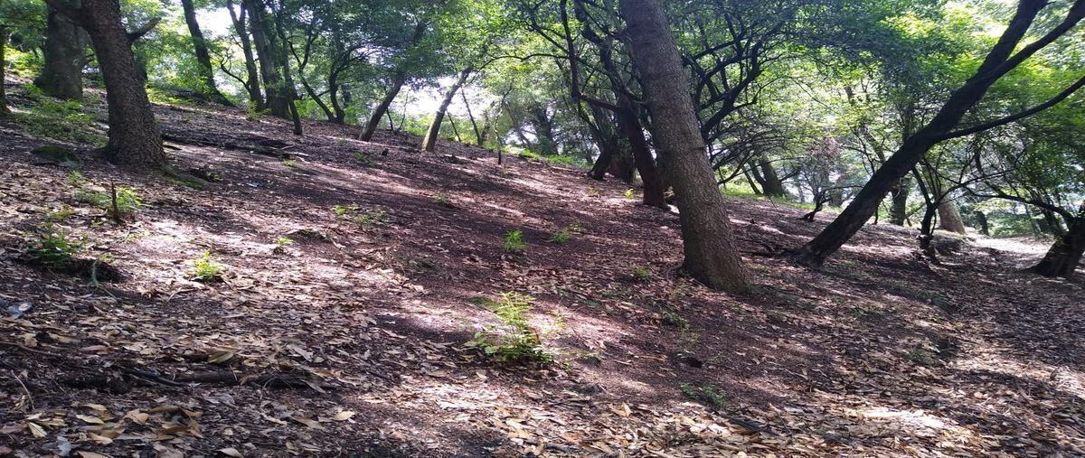 Foto de terreno habitacional en venta en  , santa rosa xochiac, cuajimalpa de morelos, df / cdmx, 28148985 No. 05