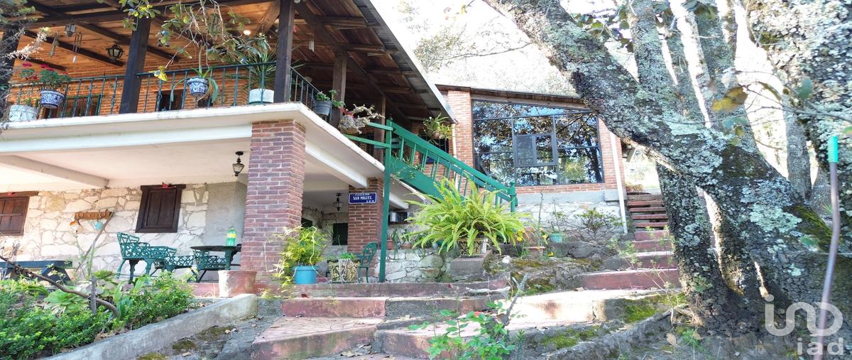 Foto de rancho en venta en santa rosalia , ciénega larga, mineral del monte, hidalgo, 30561540 No. 03