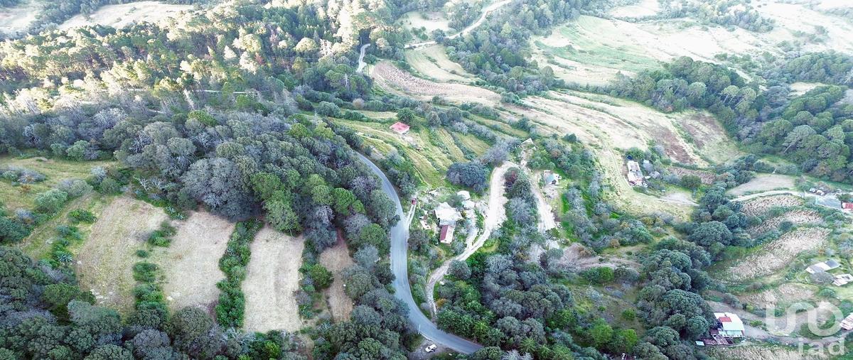 Foto de rancho en venta en santa rosalia , ciénega larga, mineral del monte, hidalgo, 30561540 No. 05