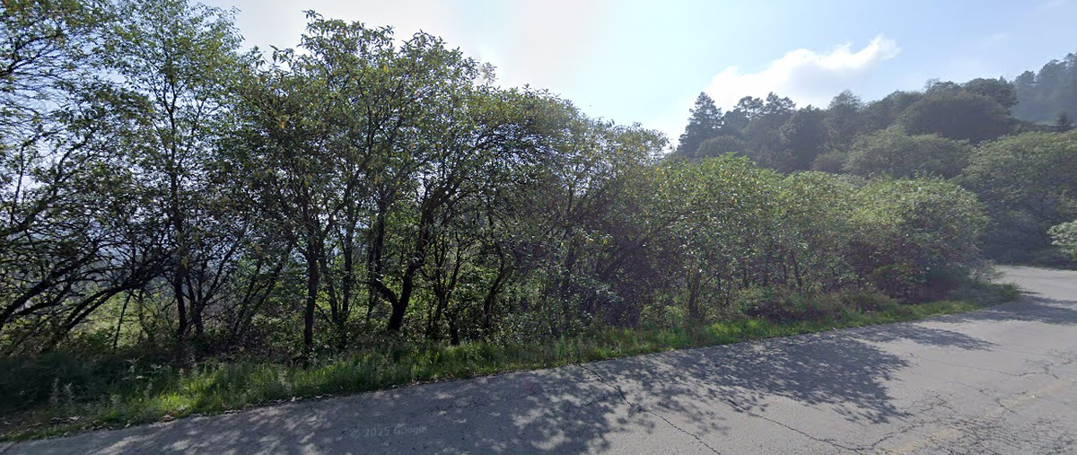 Foto de terreno habitacional en venta en  , santa rosalía, mineral del monte, hidalgo, 0 No. 05