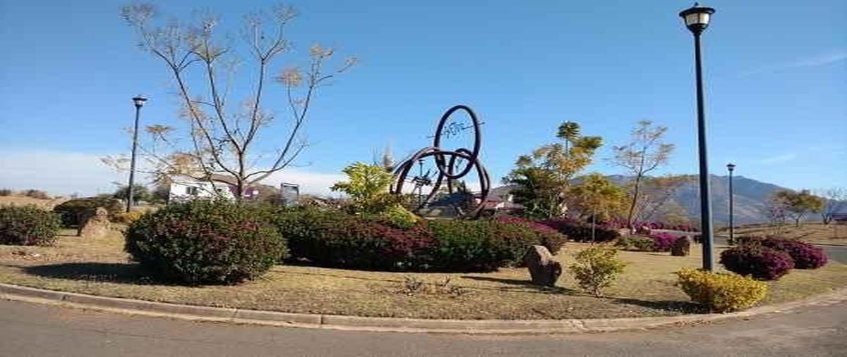 Foto de terreno industrial en venta en santa sofia haciendas country club , el arenal, el arenal, jalisco, 7224821 No. 04