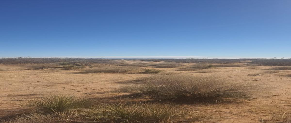 Foto de terreno habitacional en venta en  , santa teresa, juárez, chihuahua, 0 No. 03